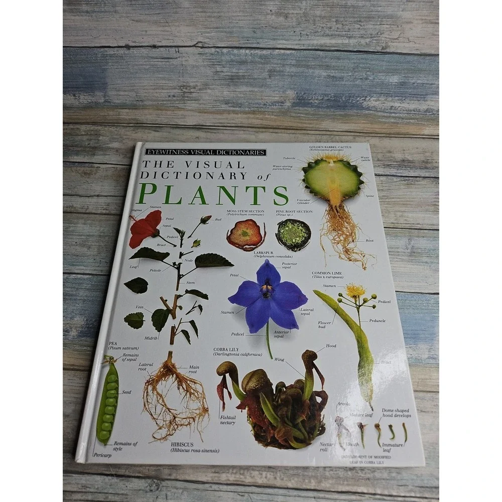 Plants by Deni Bown and‎ Dorling Kindersley Publishing Staff Hardcover Book